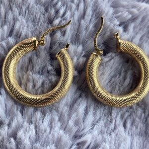 Elegant Gold Hoop Earrings